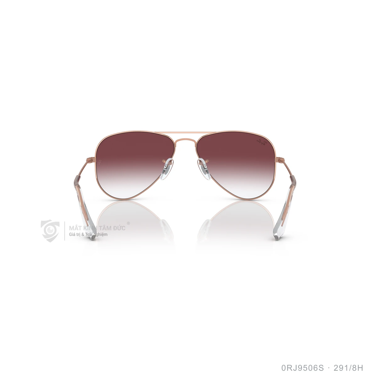 Kính mát Rayban 0RJ9506S - Ảnh 65