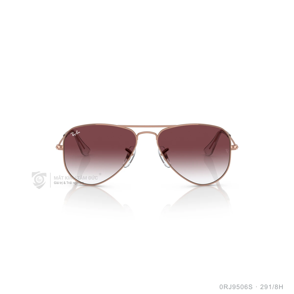 Kính mát Rayban 0RJ9506S - Ảnh 61