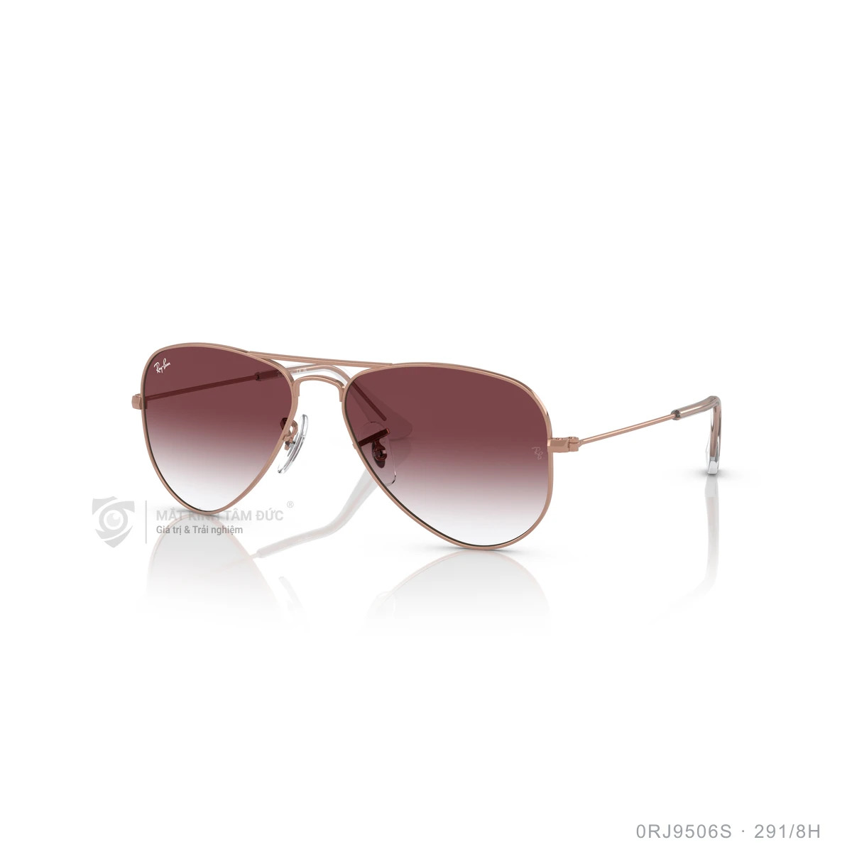 Kính mát Rayban 0RJ9506S - Ảnh 62