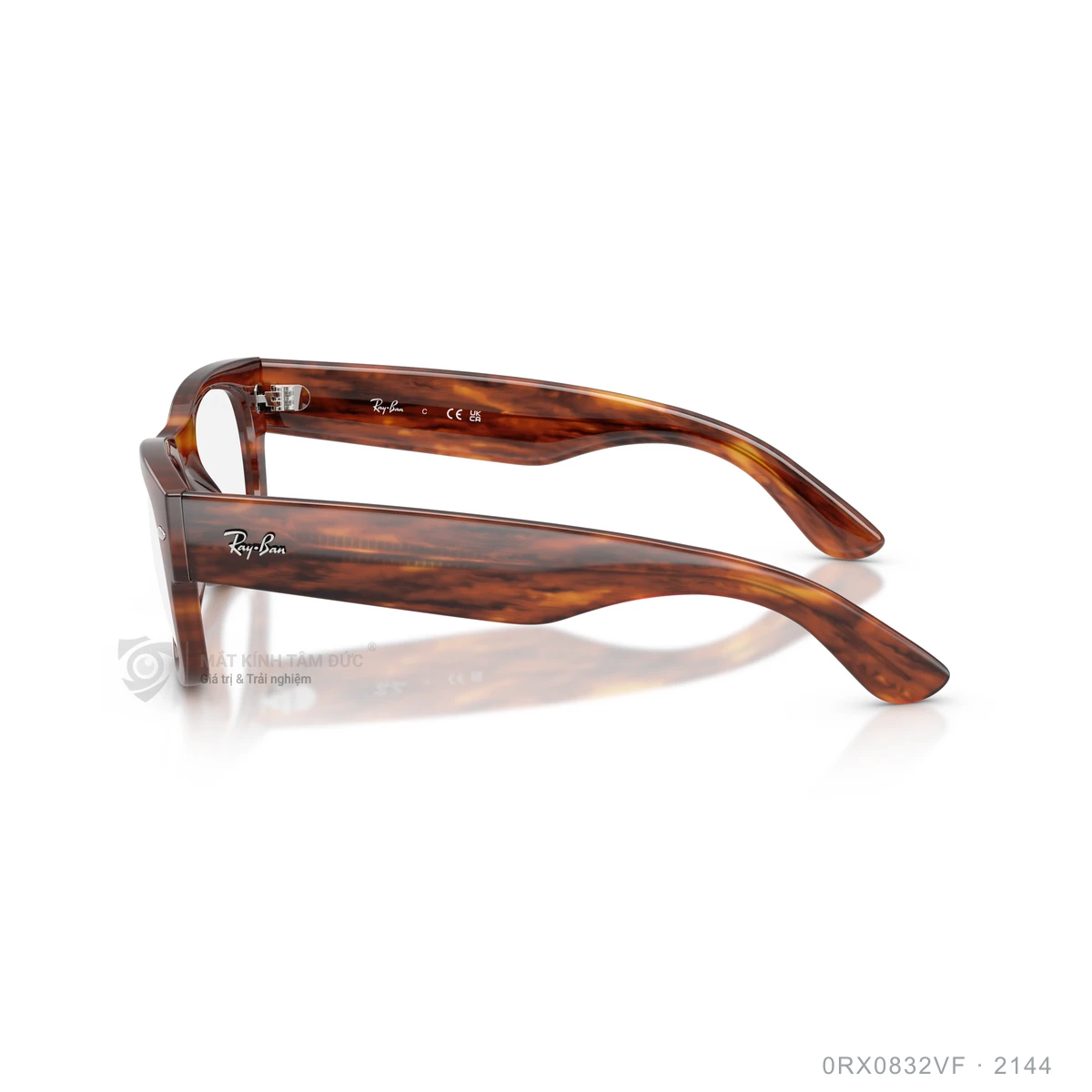 Gọng kính Rayban 0RX0832VF - Ảnh 9