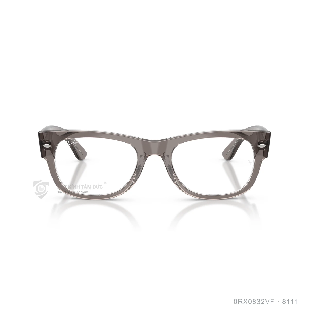 Gọng kính Rayban 0RX0832VF - Ảnh 11
