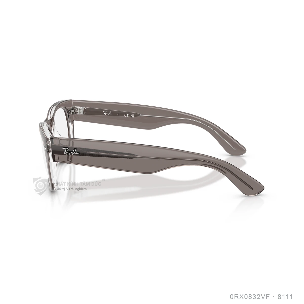 Gọng kính Rayban 0RX0832VF - Ảnh 14