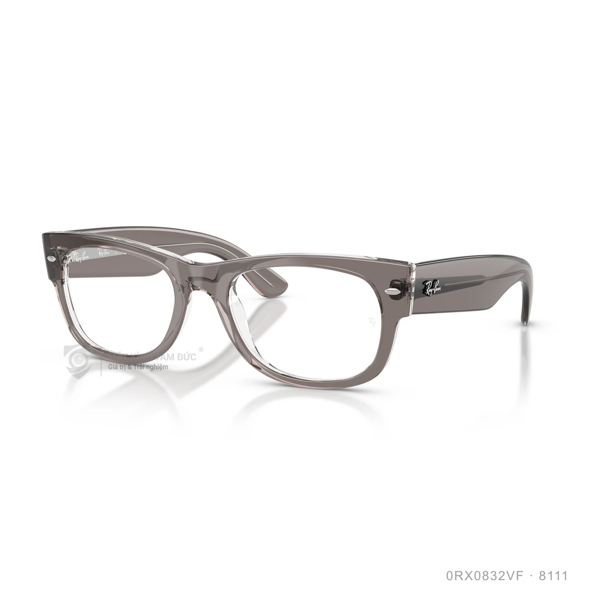 Gọng kính Rayban 0RX0832VF - Ảnh 12