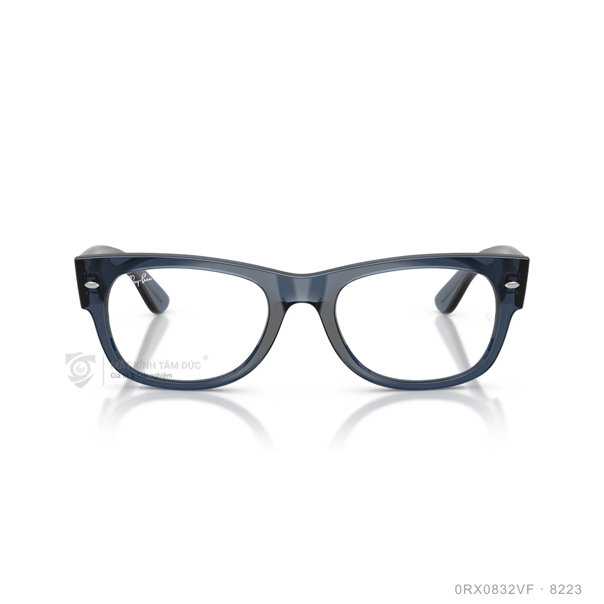 Gọng kính Rayban 0RX0832VF - Ảnh 16