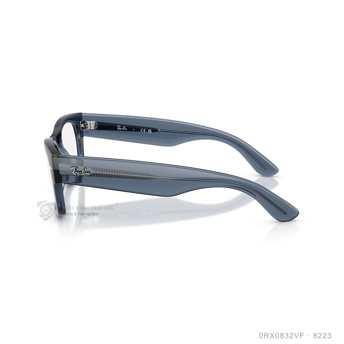 Gọng kính Rayban 0RX0832VF - Ảnh 19