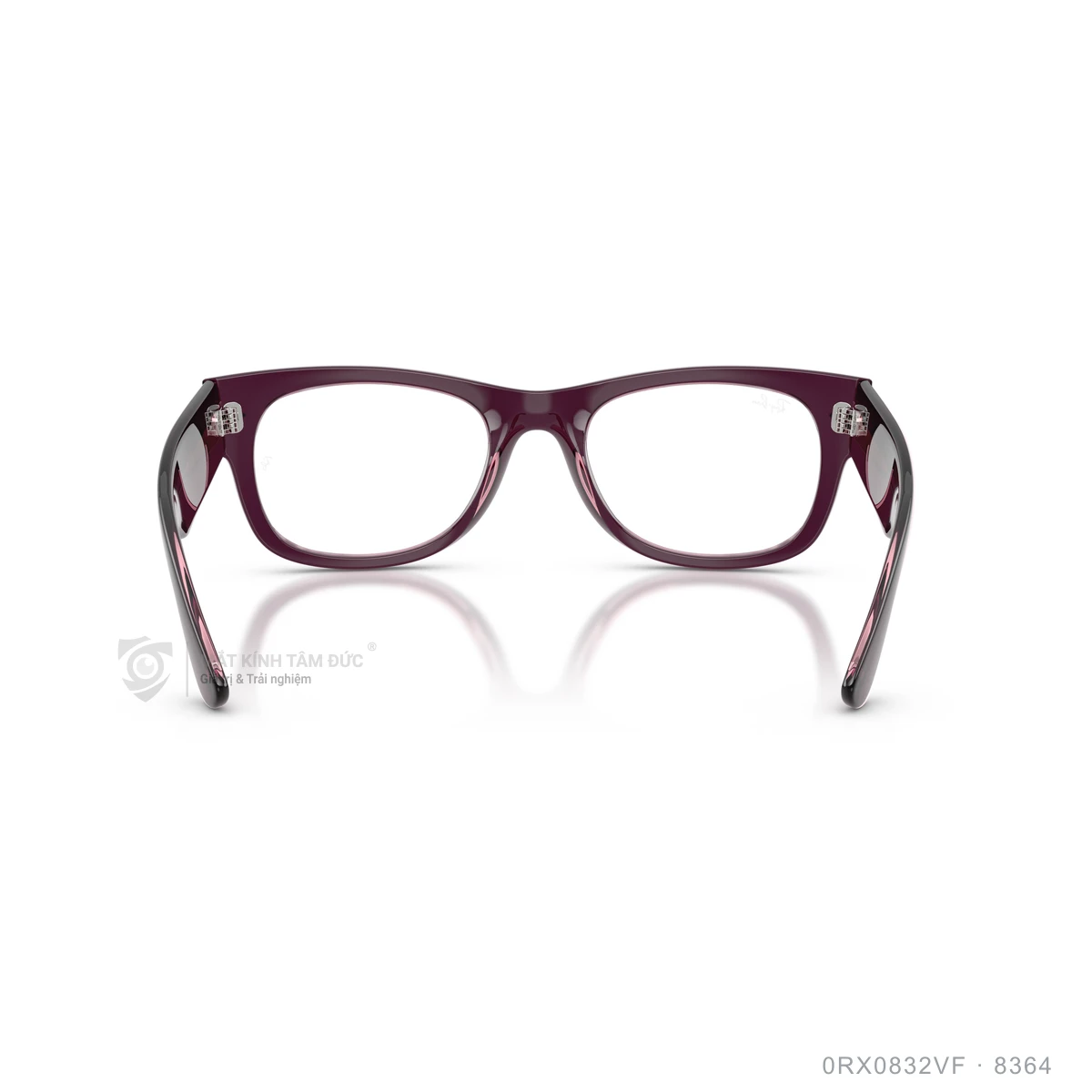 Gọng kính Rayban 0RX0832VF - Ảnh 25