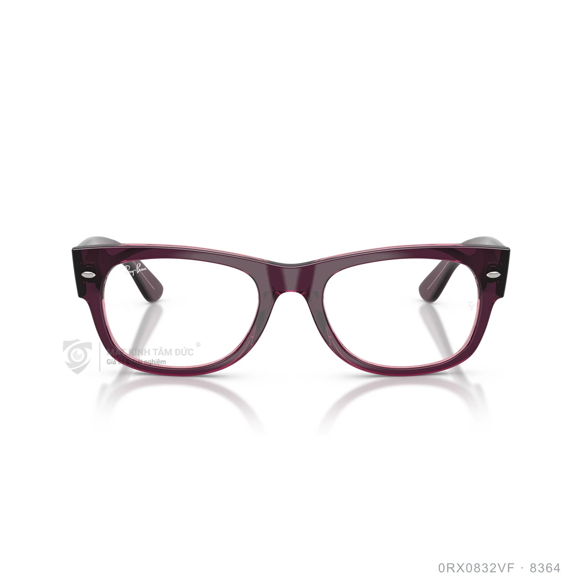 Gọng kính Rayban 0RX0832VF - Ảnh 21