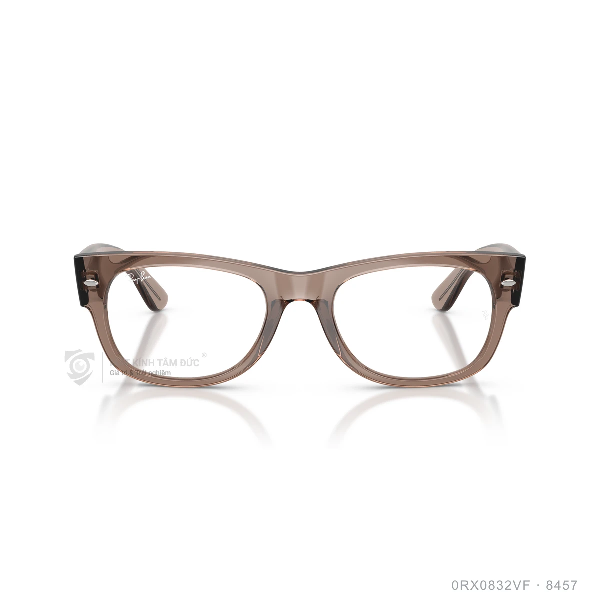 Gọng kính Rayban 0RX0832VF - Ảnh 26
