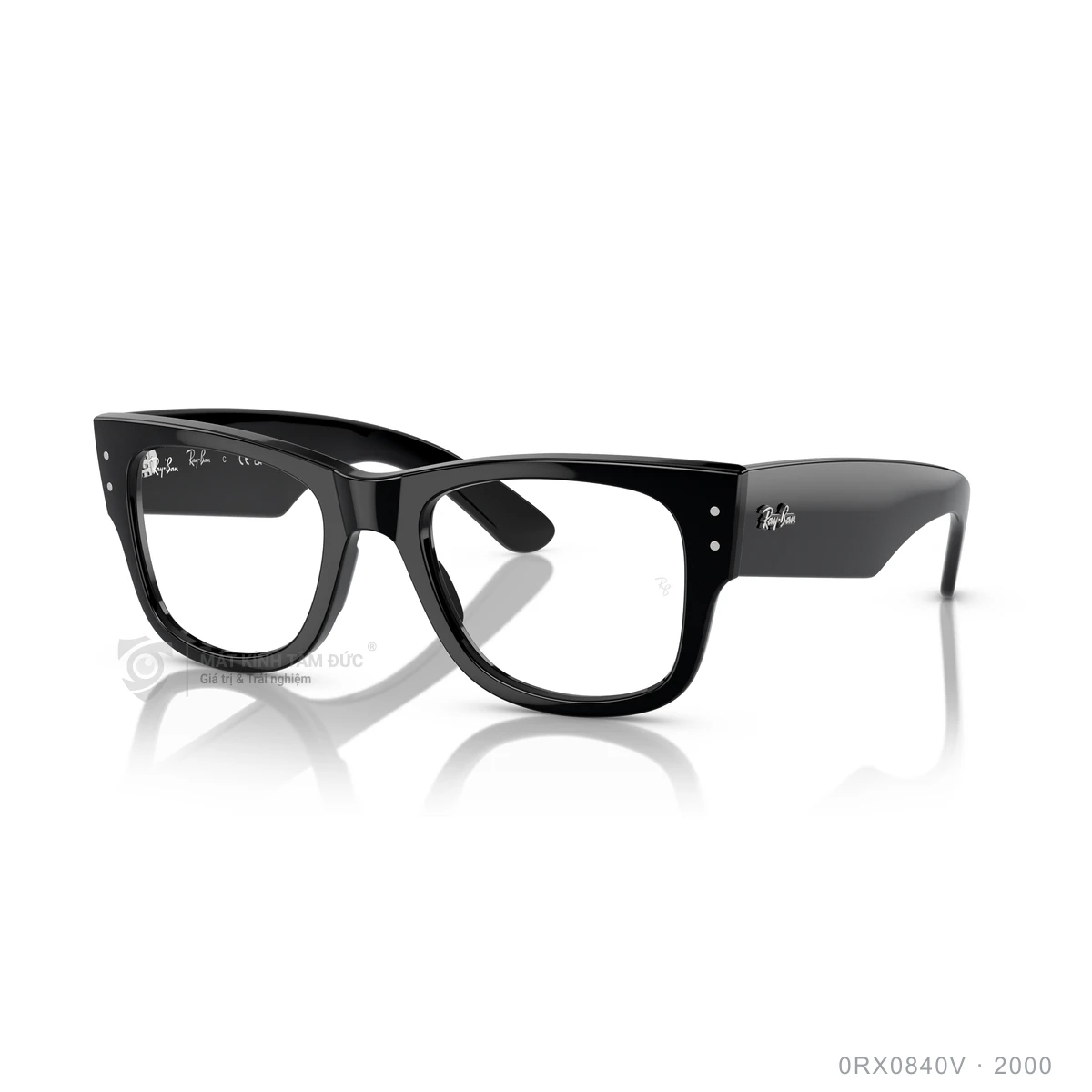 Gọng kính Rayban 0RX0840V - Ảnh 12