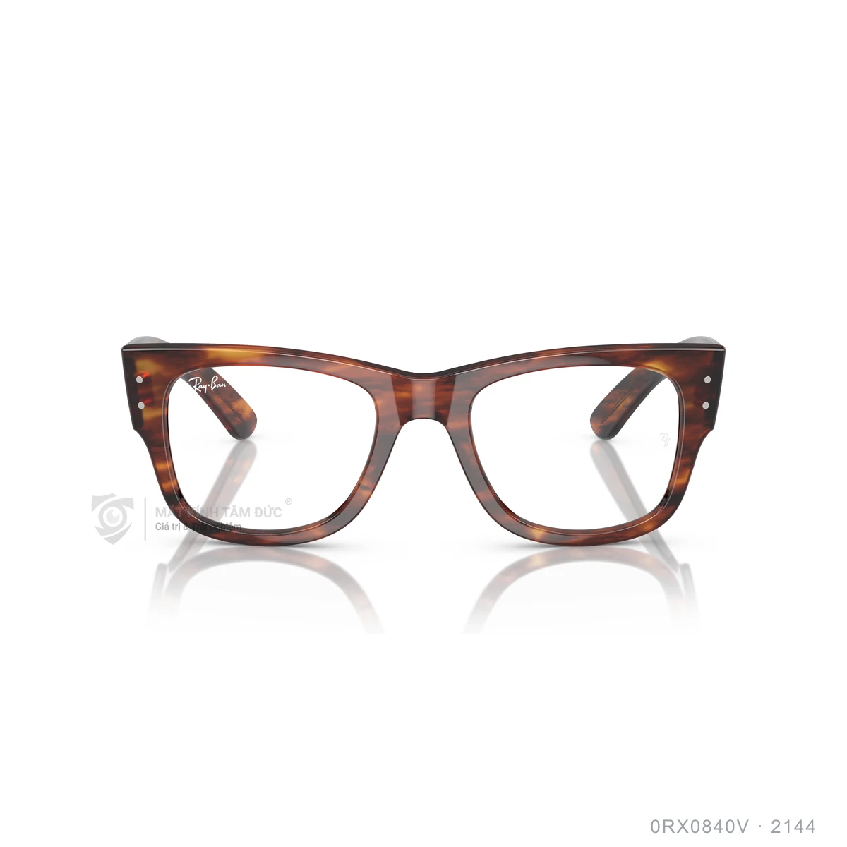 Gọng kính Rayban 0RX0840V - Ảnh 16