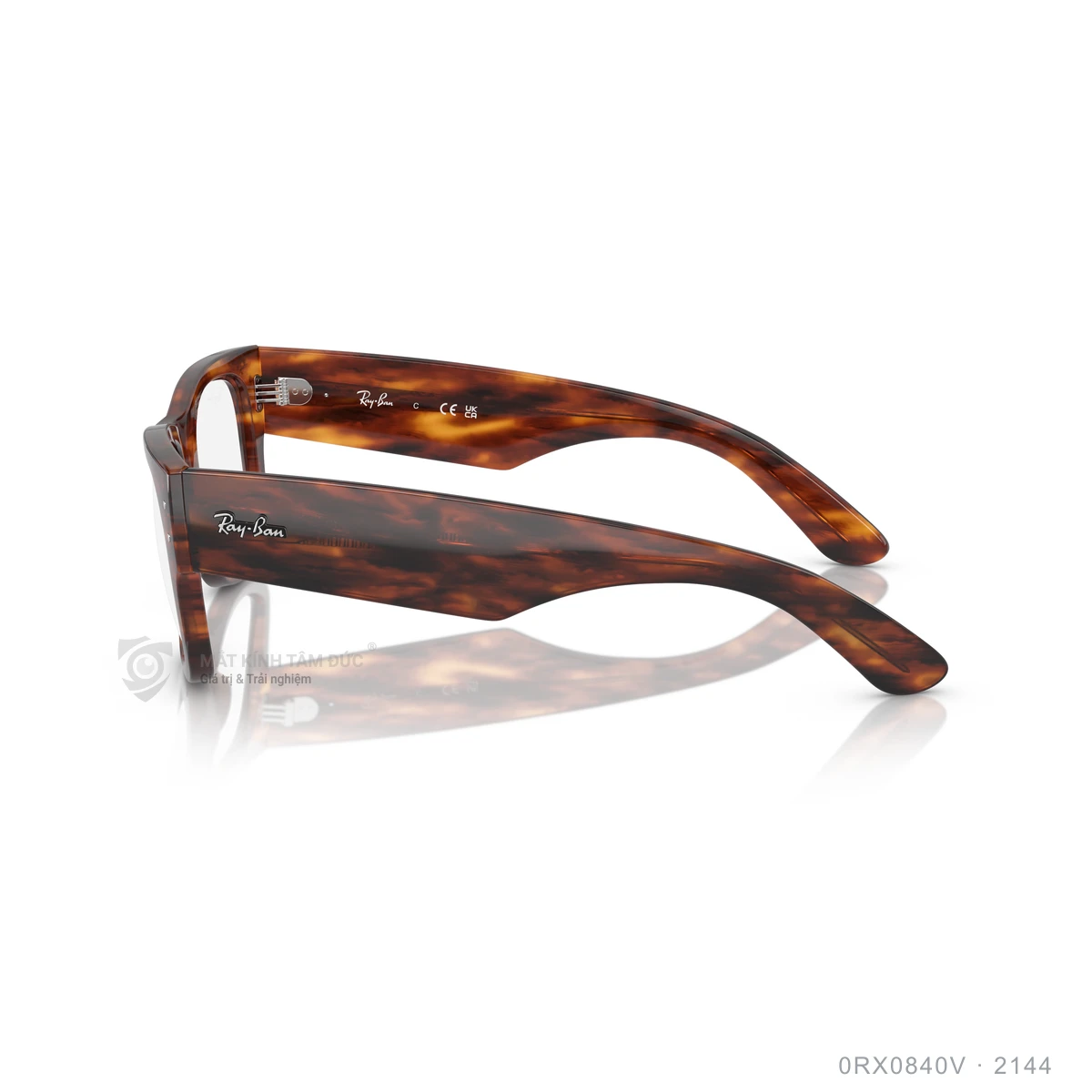 Gọng kính Rayban 0RX0840V - Ảnh 19