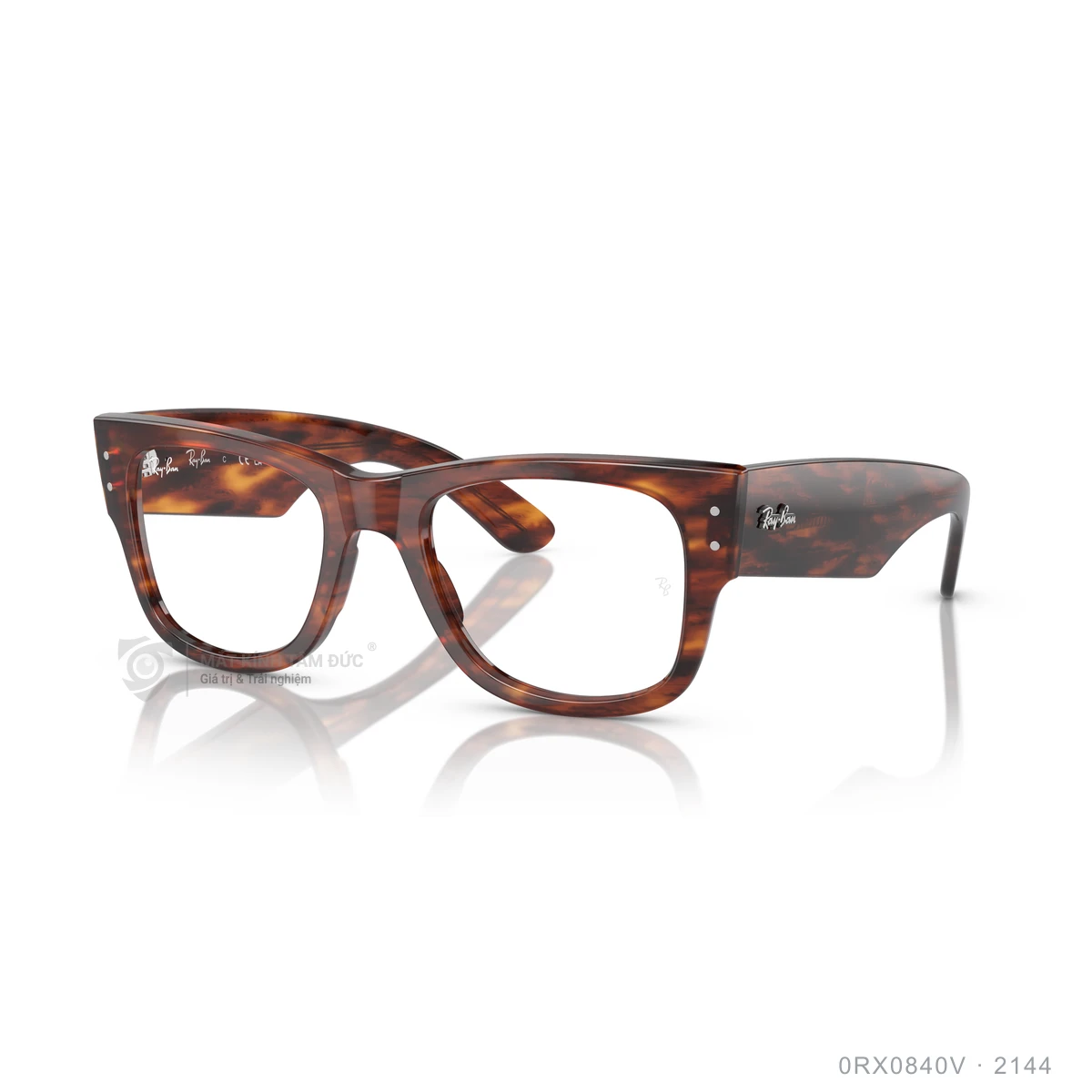Gọng kính Rayban 0RX0840V - Ảnh 17