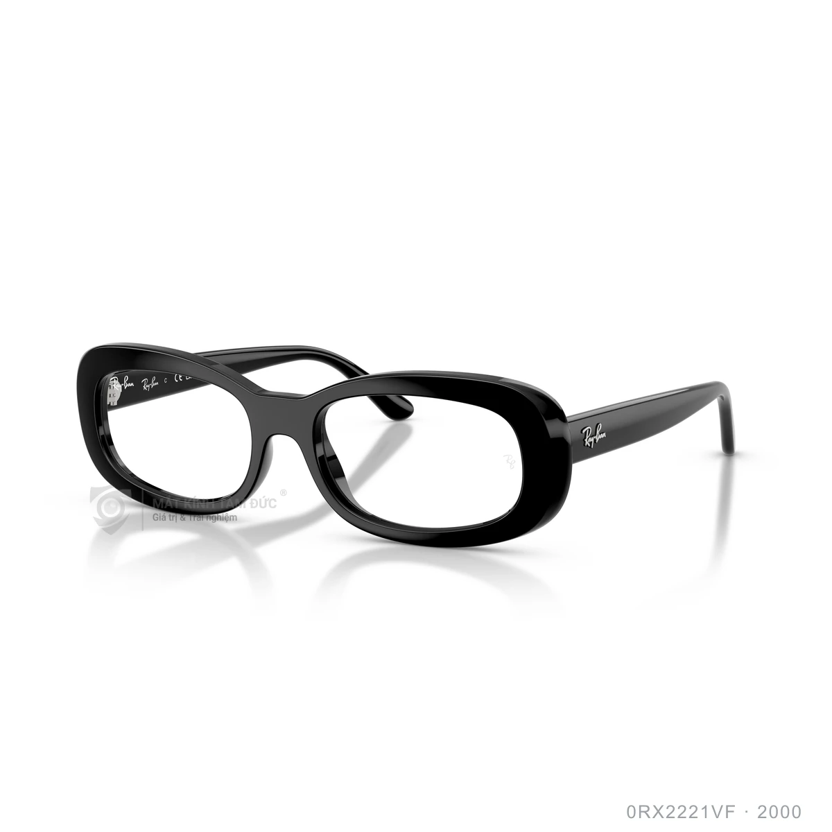 Chi tiết góc nghiêng Gọng kính Rayban 0RX2221VF