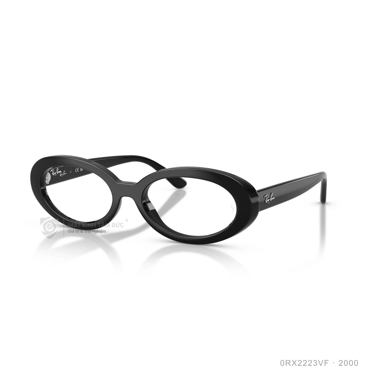 Chi tiết góc nghiêng Gọng kính Rayban 0RX2223VF