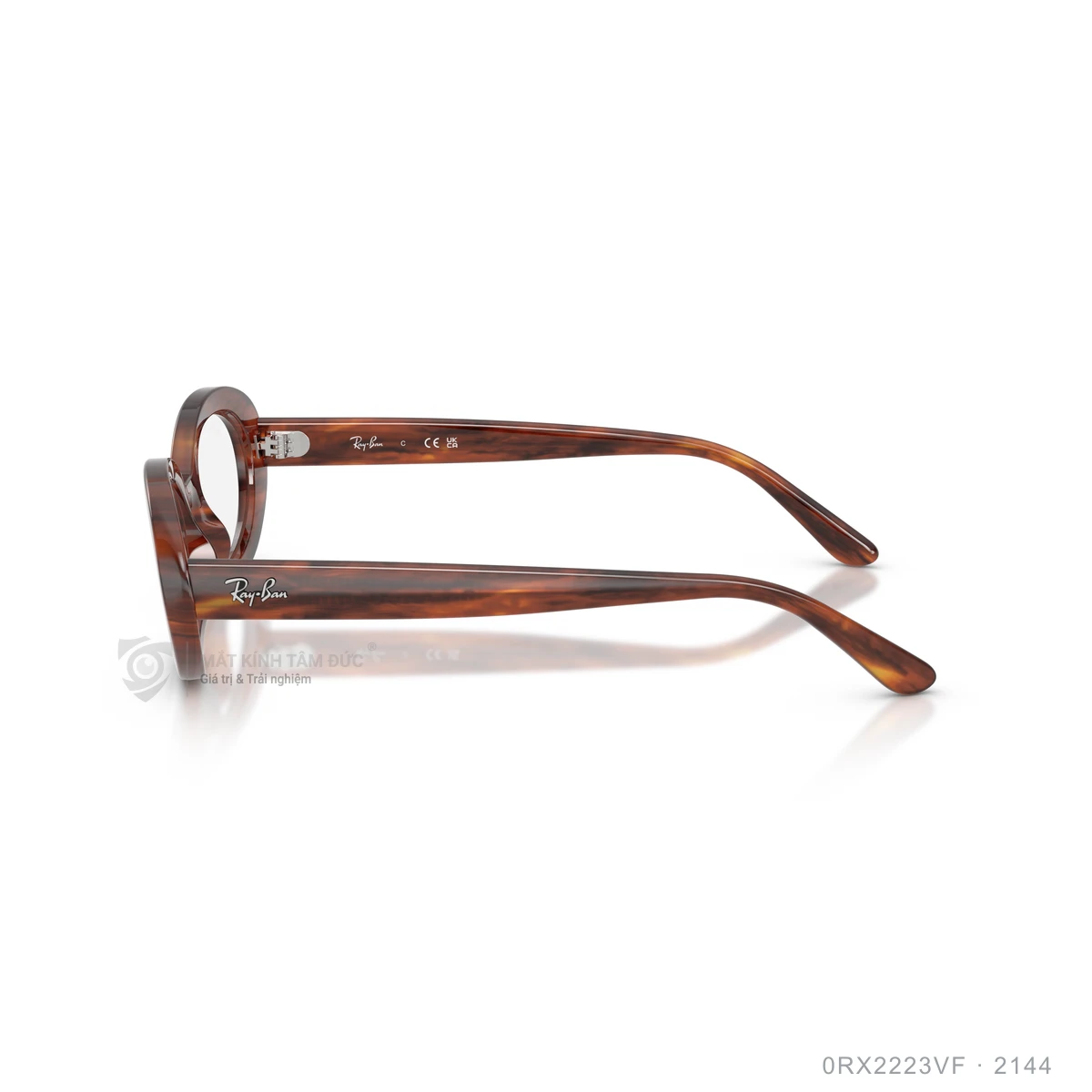 Gọng kính Rayban 0RX2223VF - Ảnh 9