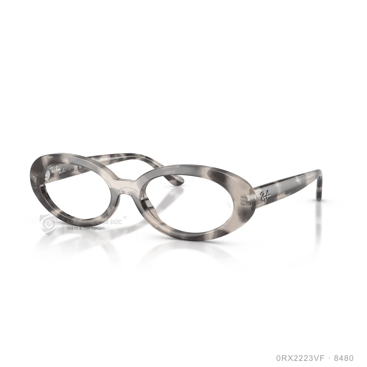 Gọng kính Rayban 0RX2223VF - Ảnh 12