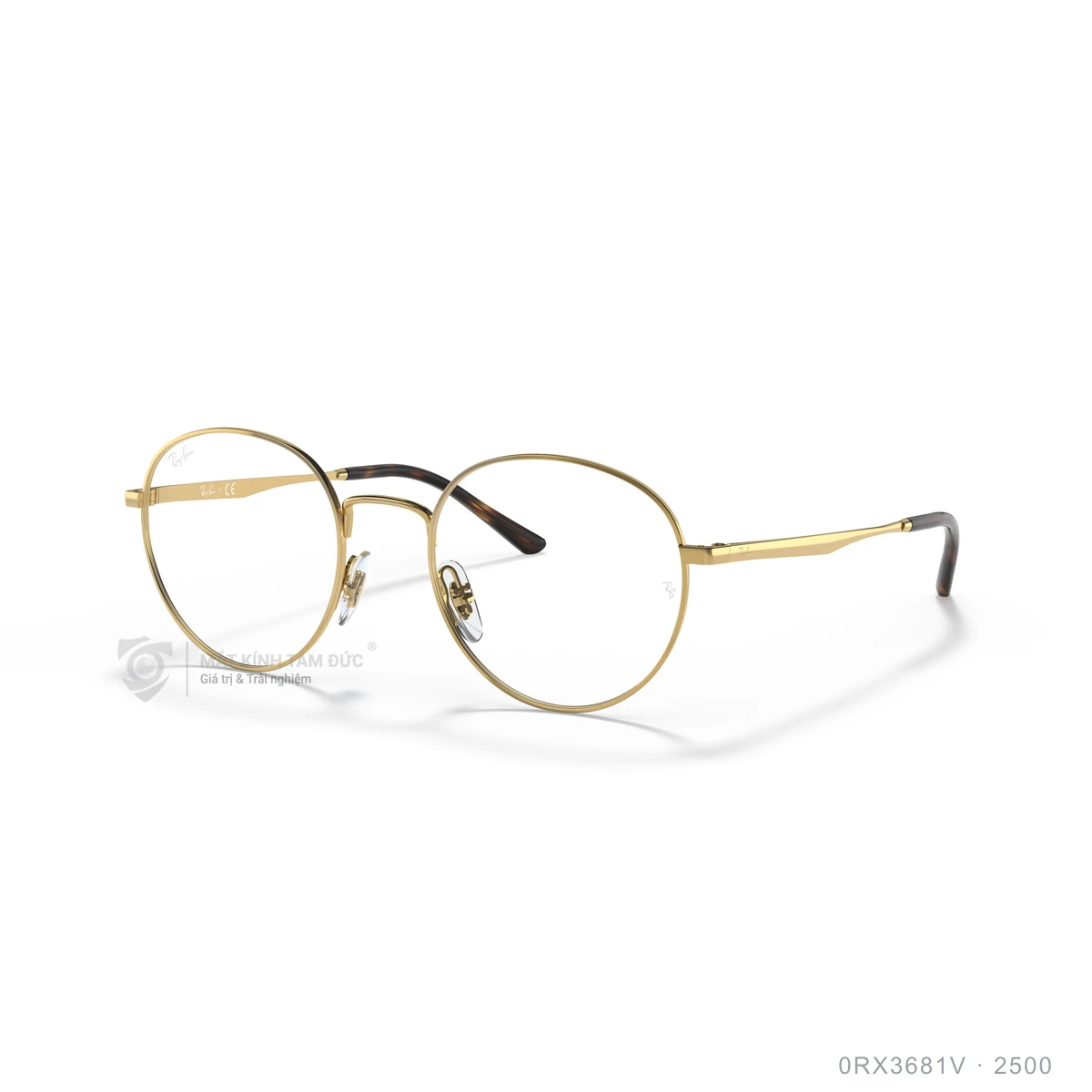 Chi tiết góc nghiêng Gọng kính Rayban 0RX3681V