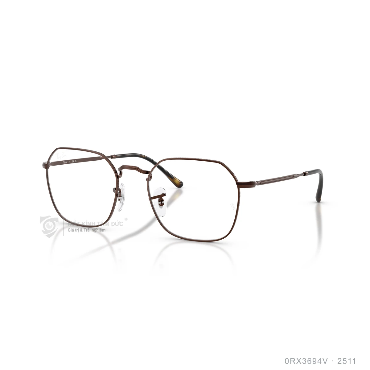 Chi tiết góc nghiêng Gọng kính Rayban 0RX3694V