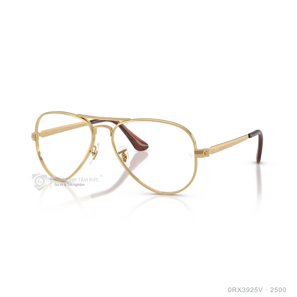 Chi tiết góc nghiêng Gọng kính Rayban 0RX3925V