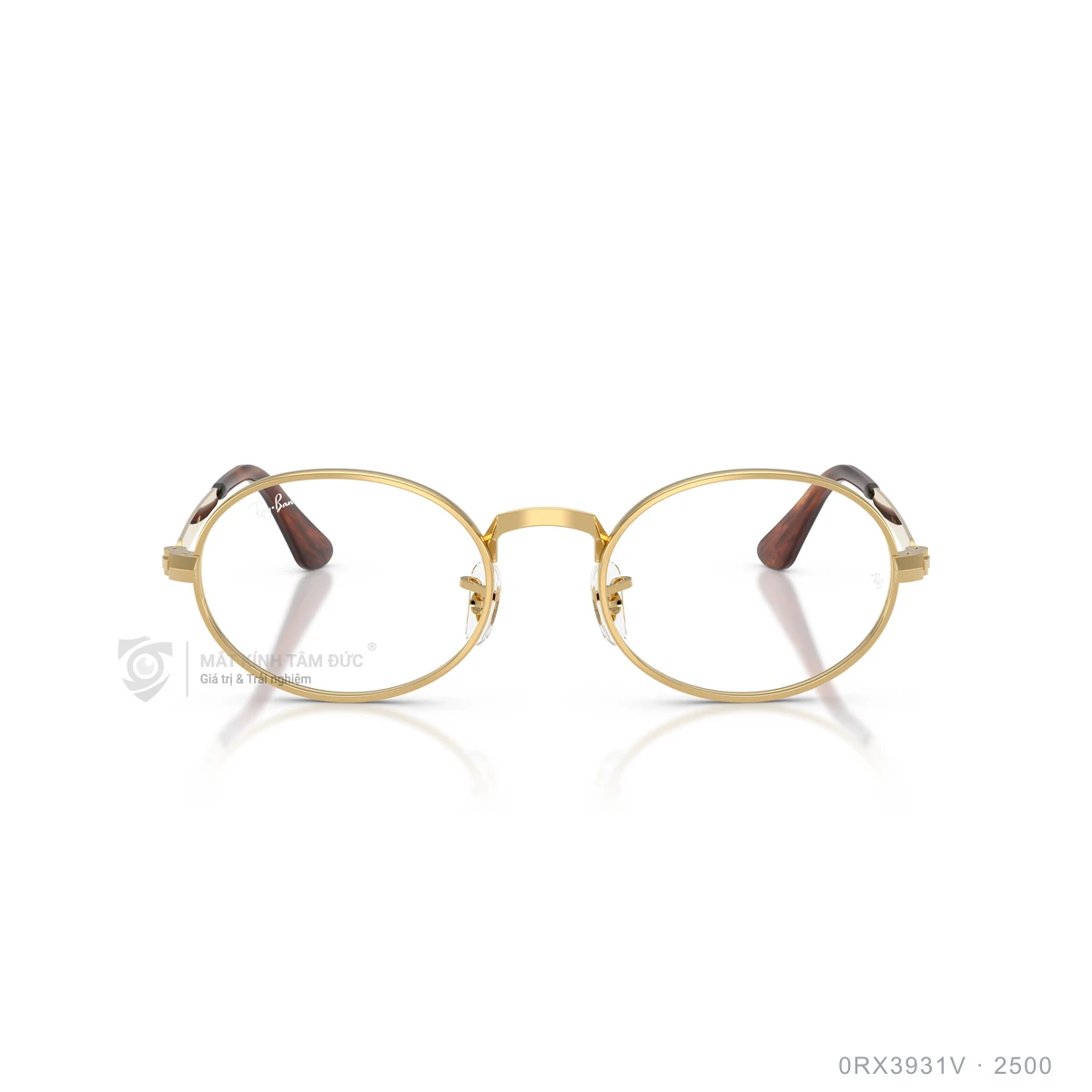 Hình ảnh thực tế Gọng kính Rayban 0RX3931V