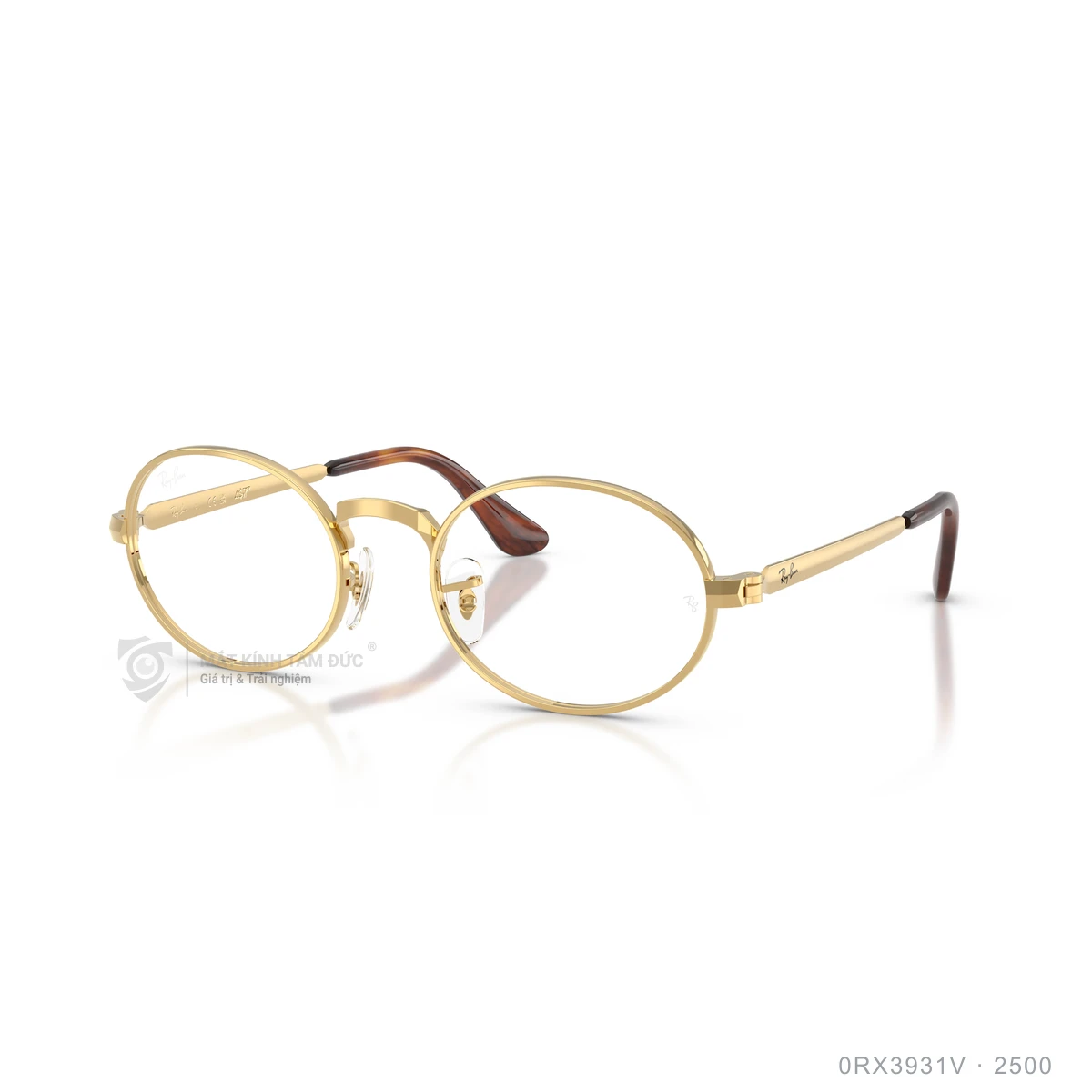 Chi tiết góc nghiêng Gọng kính Rayban 0RX3931V