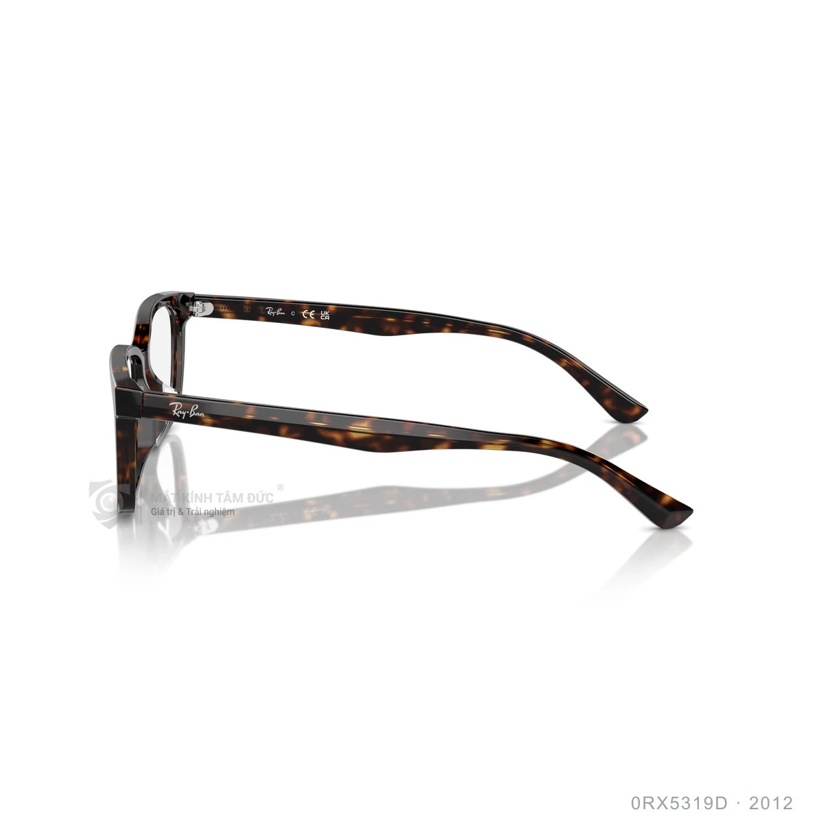 Gọng kính Rayban 0RX5319D - Ảnh 4