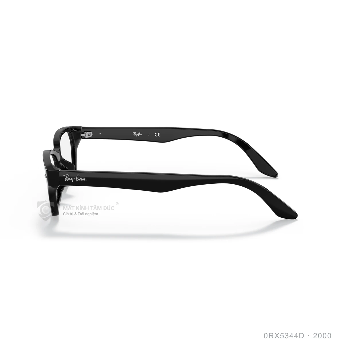 Gọng kính Rayban 0RX5344D - Ảnh 4