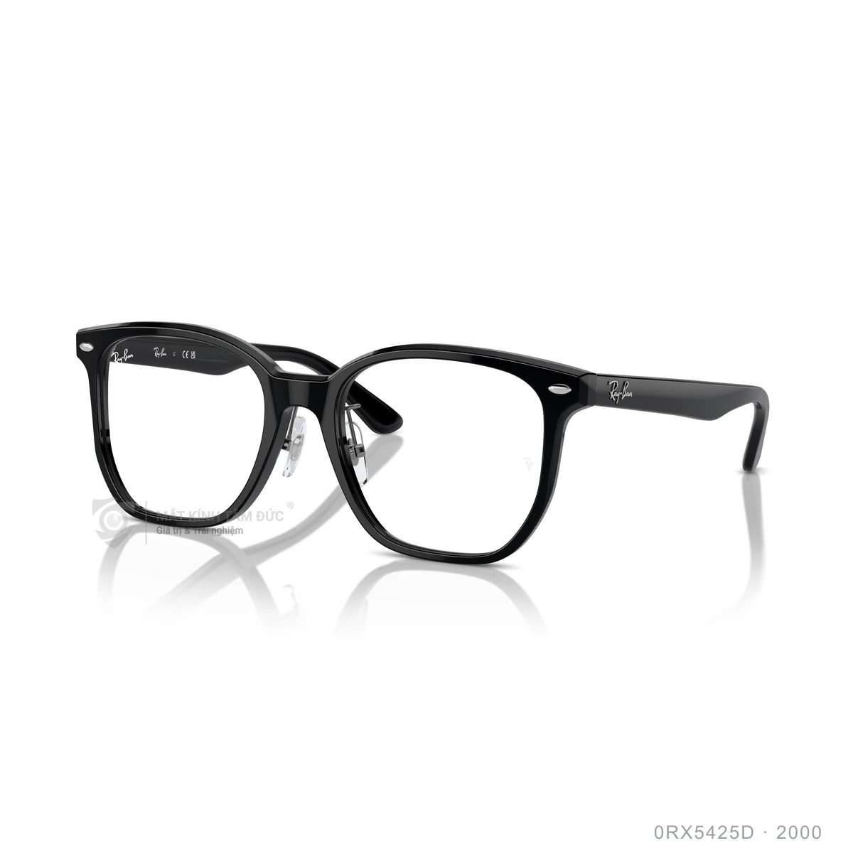 Chi tiết góc nghiêng Gọng kính Rayban 0RX5425D