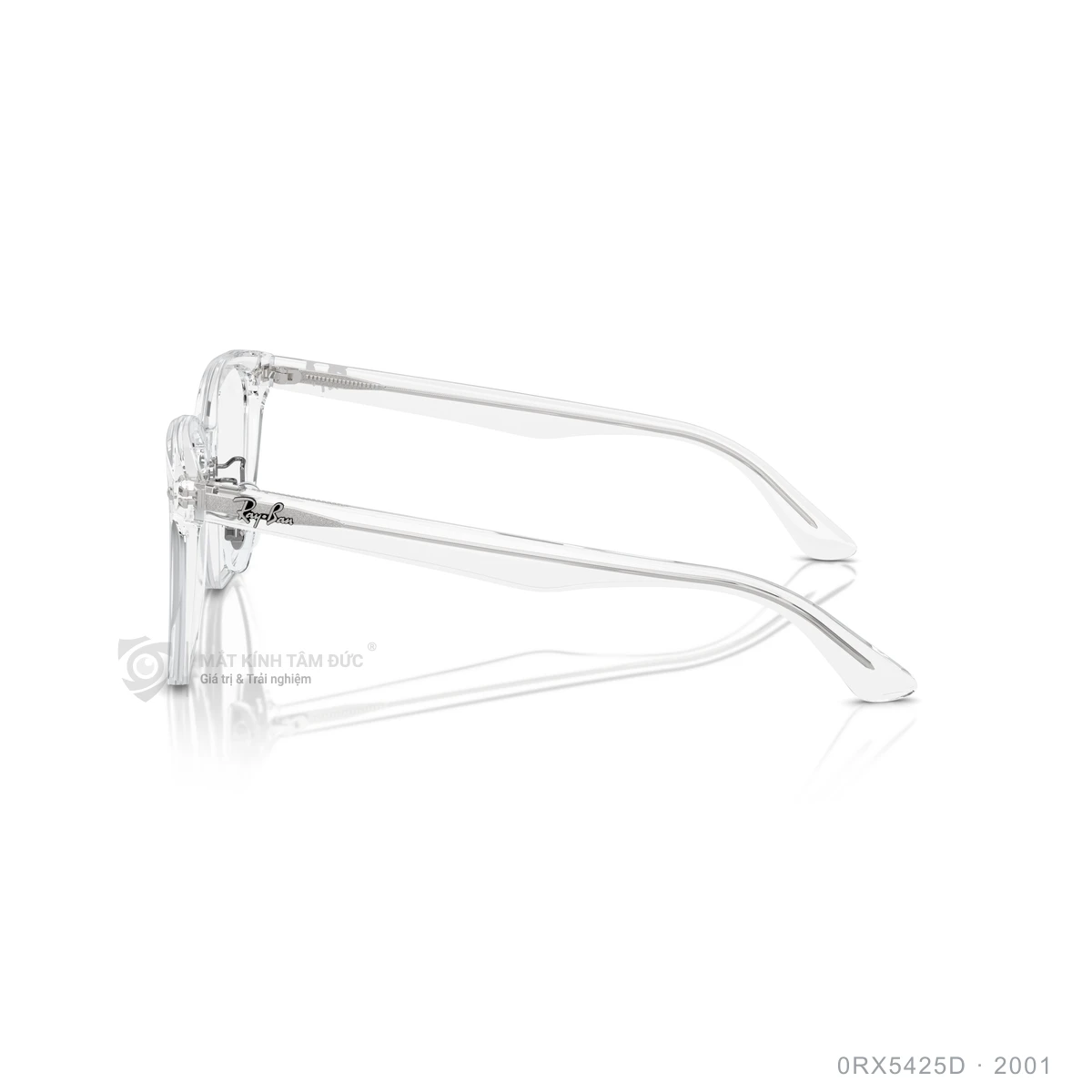 Gọng kính Rayban 0RX5425D - Ảnh 9