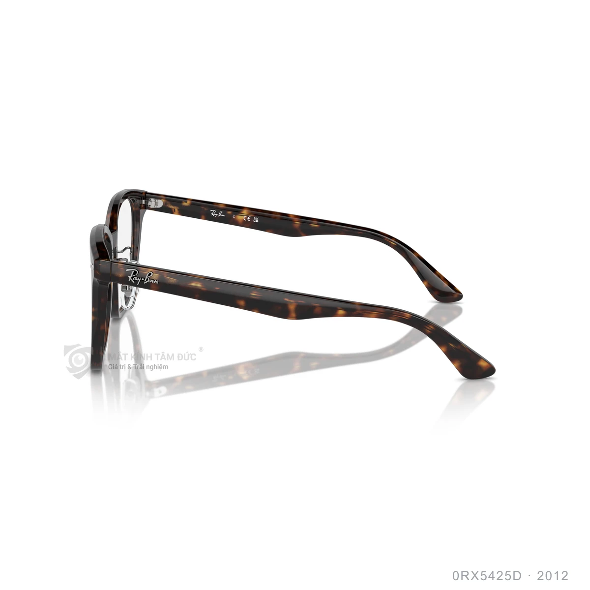Gọng kính Rayban 0RX5425D - Ảnh 14