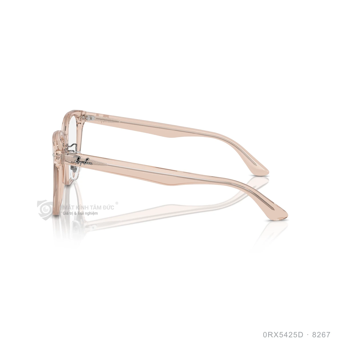 Gọng kính Rayban 0RX5425D - Ảnh 19