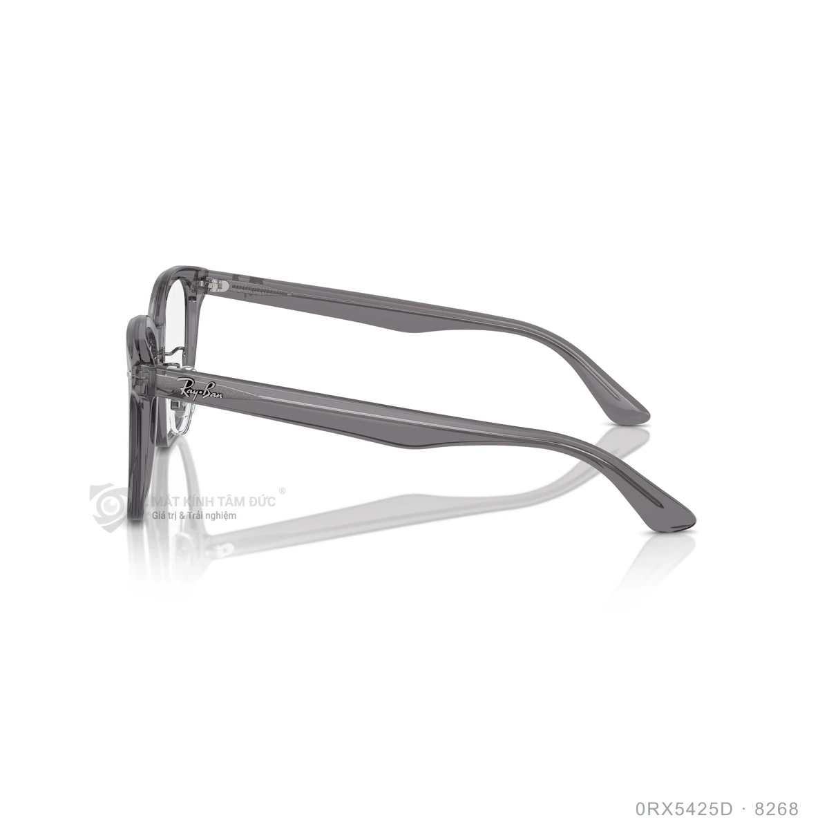 Gọng kính Rayban 0RX5425D - Ảnh 24