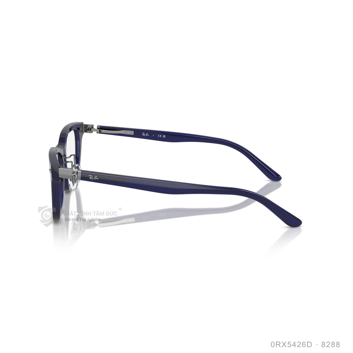Gọng kính Rayban 0RX5426D - Ảnh 14