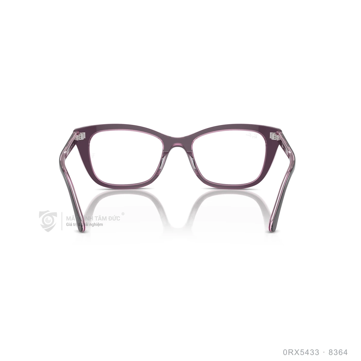 Gọng kính Rayban 0RX5433 - Ảnh 15
