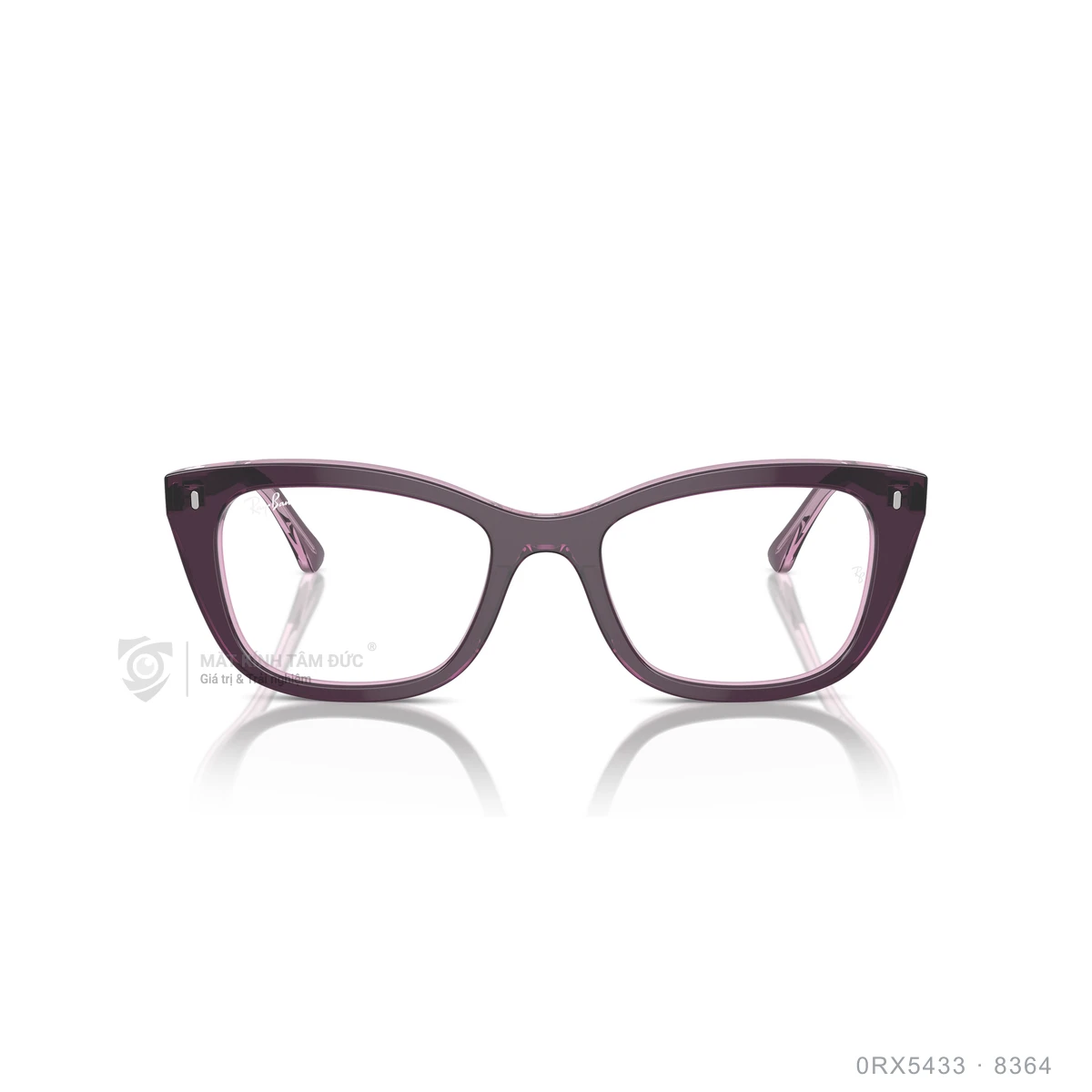 Gọng kính Rayban 0RX5433 - Ảnh 11