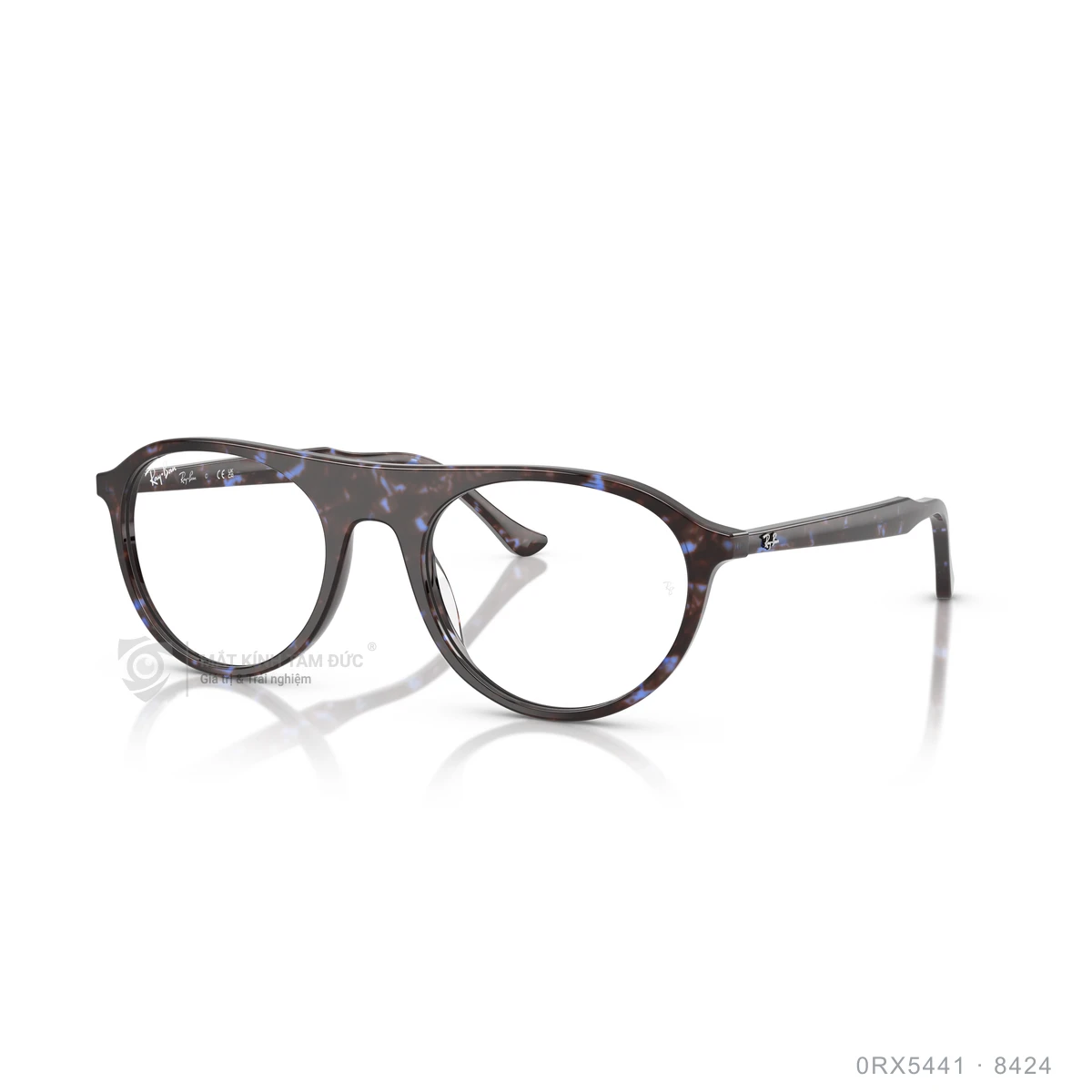 Chi tiết góc nghiêng Gọng kính Rayban 0RX5441