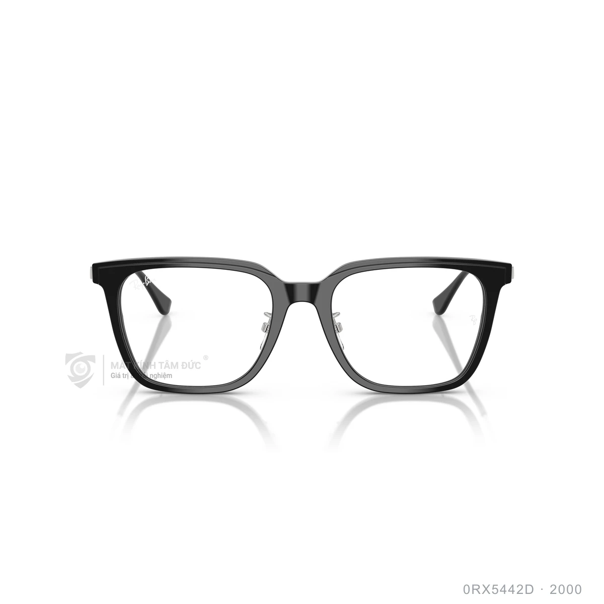 Gọng kính Rayban 0RX5442D - Ảnh 6