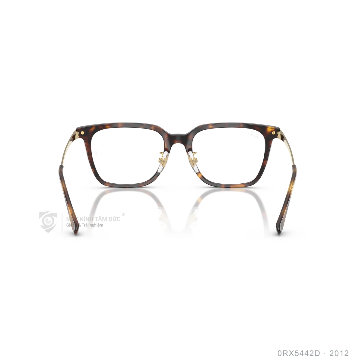 Gọng kính Rayban 0RX5442D - Ảnh 15