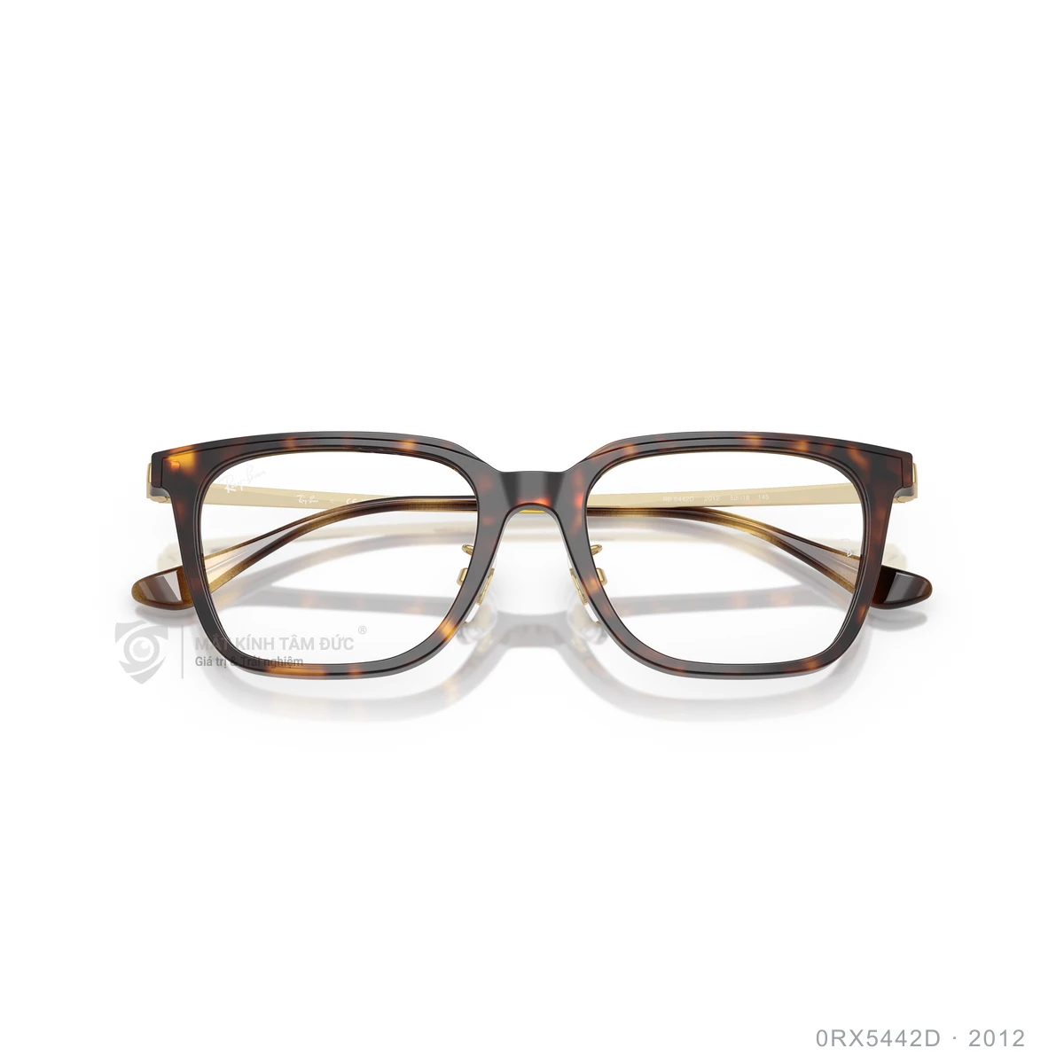 Gọng kính Rayban 0RX5442D - Ảnh 13