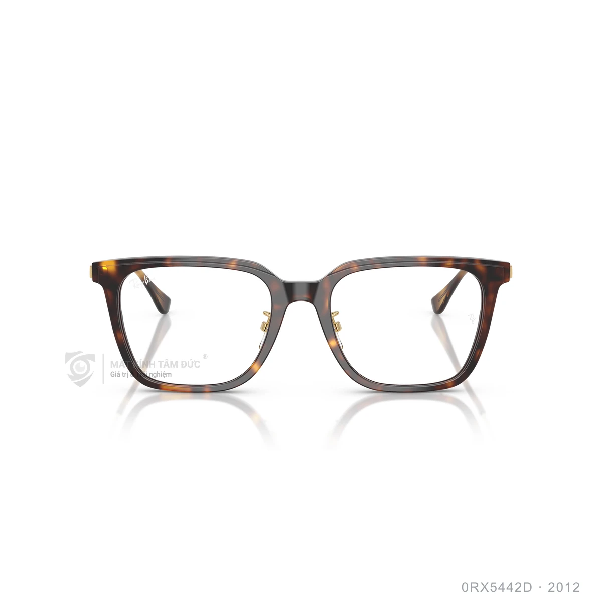 Gọng kính Rayban 0RX5442D - Ảnh 11