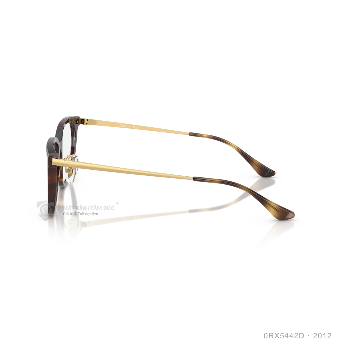 Gọng kính Rayban 0RX5442D - Ảnh 14