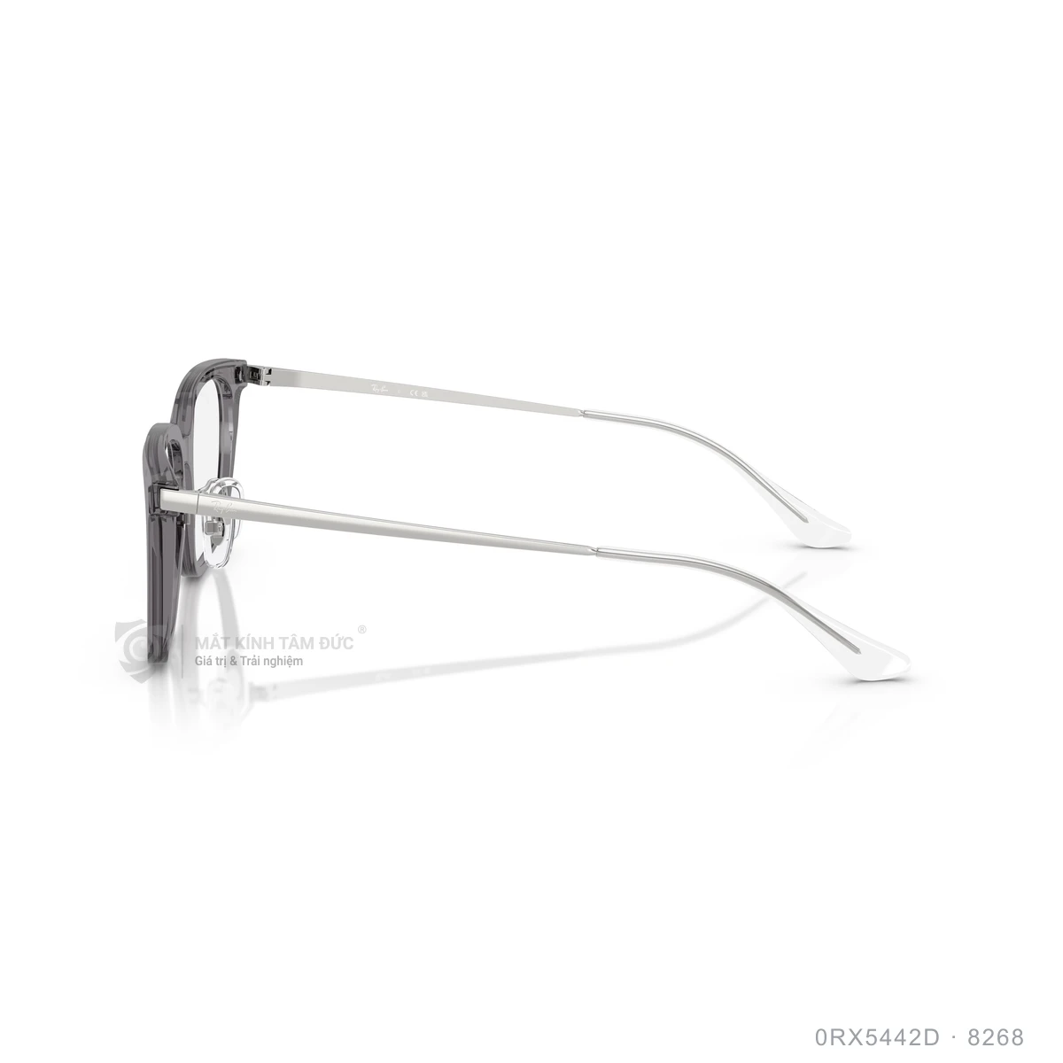 Gọng kính Rayban 0RX5442D - Ảnh 19