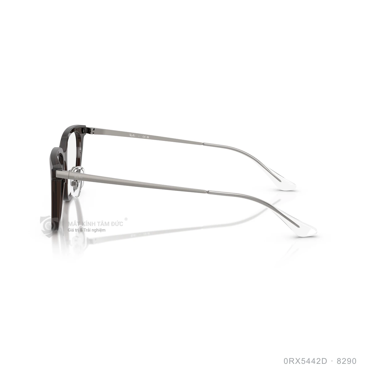 Gọng kính Rayban 0RX5442D - Ảnh 4