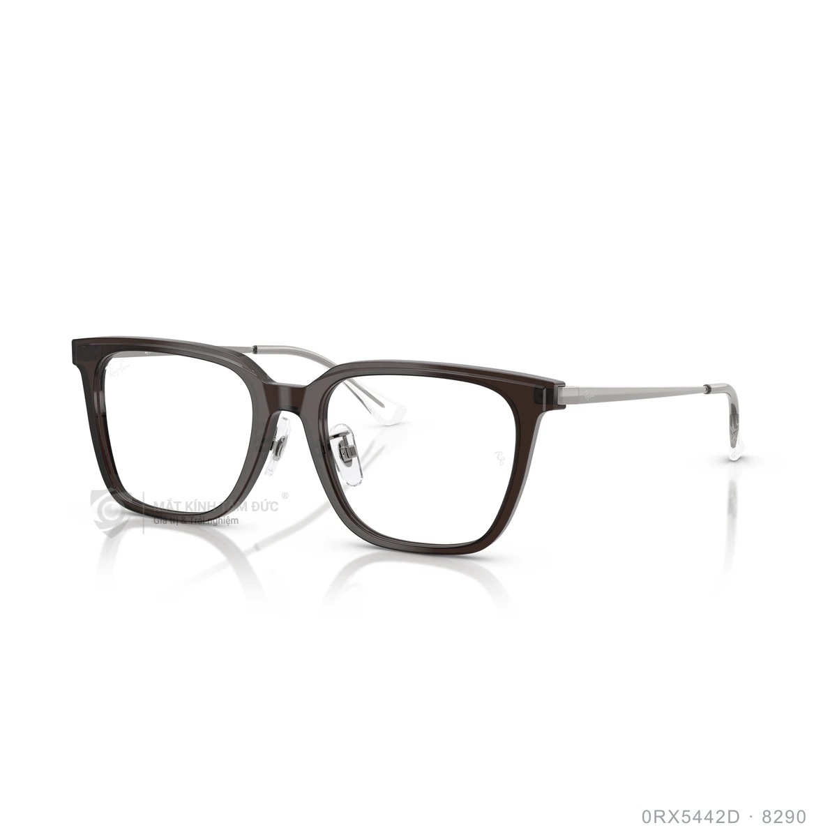 Chi tiết góc nghiêng Gọng kính Rayban 0RX5442D