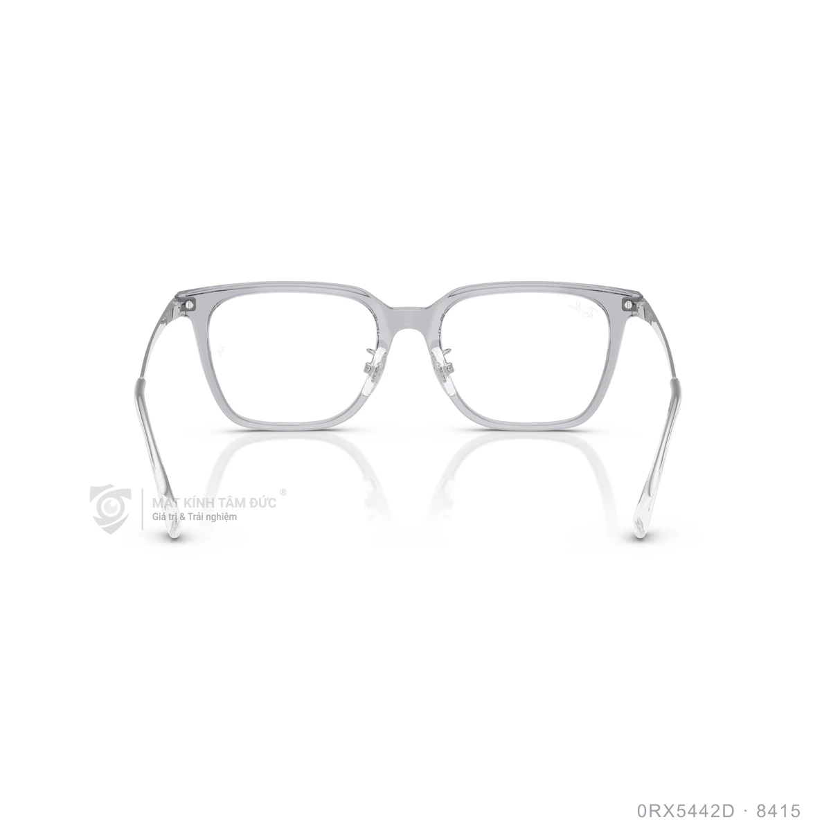 Gọng kính Rayban 0RX5442D - Ảnh 25