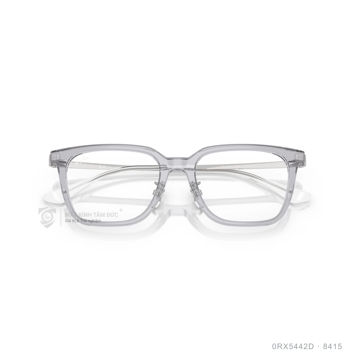 Gọng kính Rayban 0RX5442D - Ảnh 23