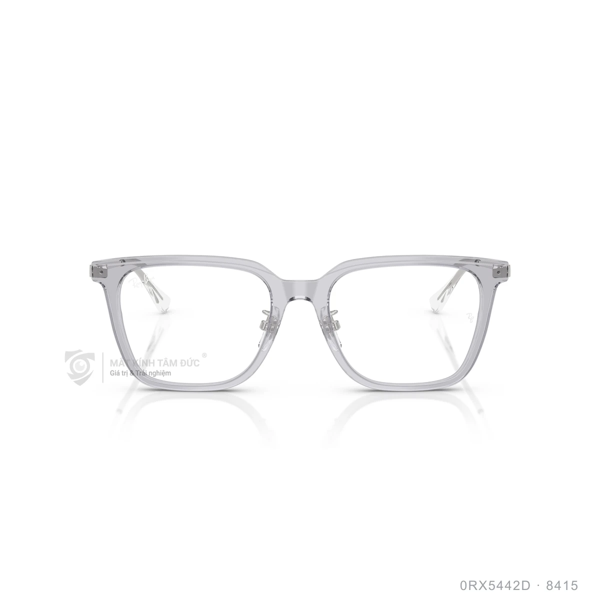 Gọng kính Rayban 0RX5442D - Ảnh 21