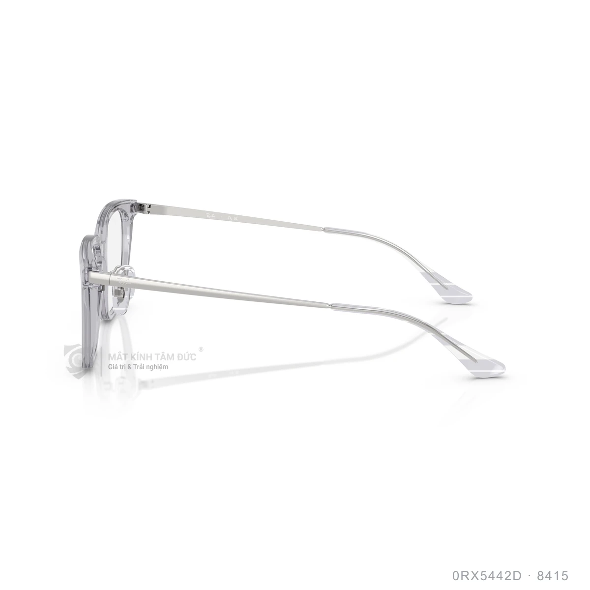 Gọng kính Rayban 0RX5442D - Ảnh 24