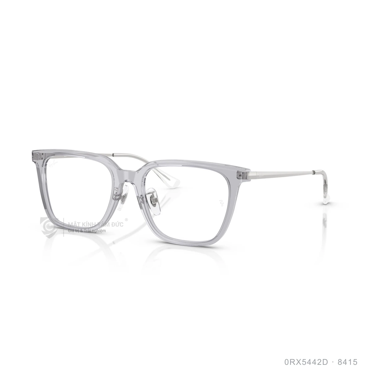 Gọng kính Rayban 0RX5442D - Ảnh 22