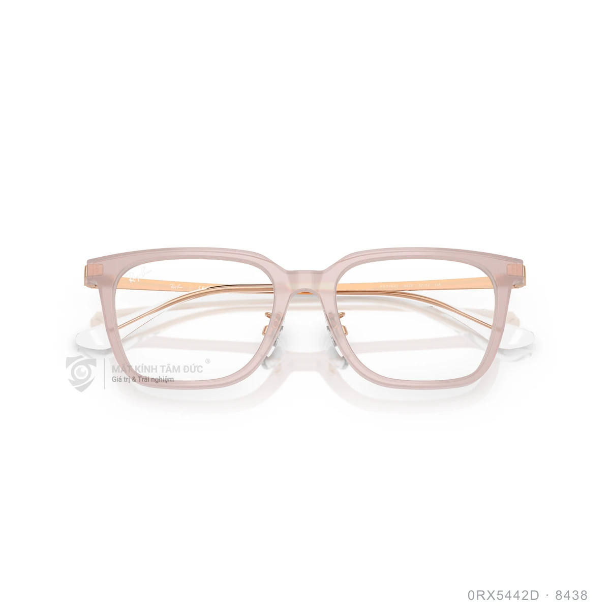 Gọng kính Rayban 0RX5442D - Ảnh 28